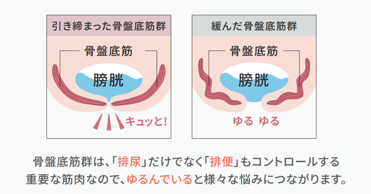 【40代・50代男性必見】最近トイレが近い…？実は筋力低下かも？お風呂でこっそり対策しよう｜MYTREX(マイトレックス)AQUA QUTTO