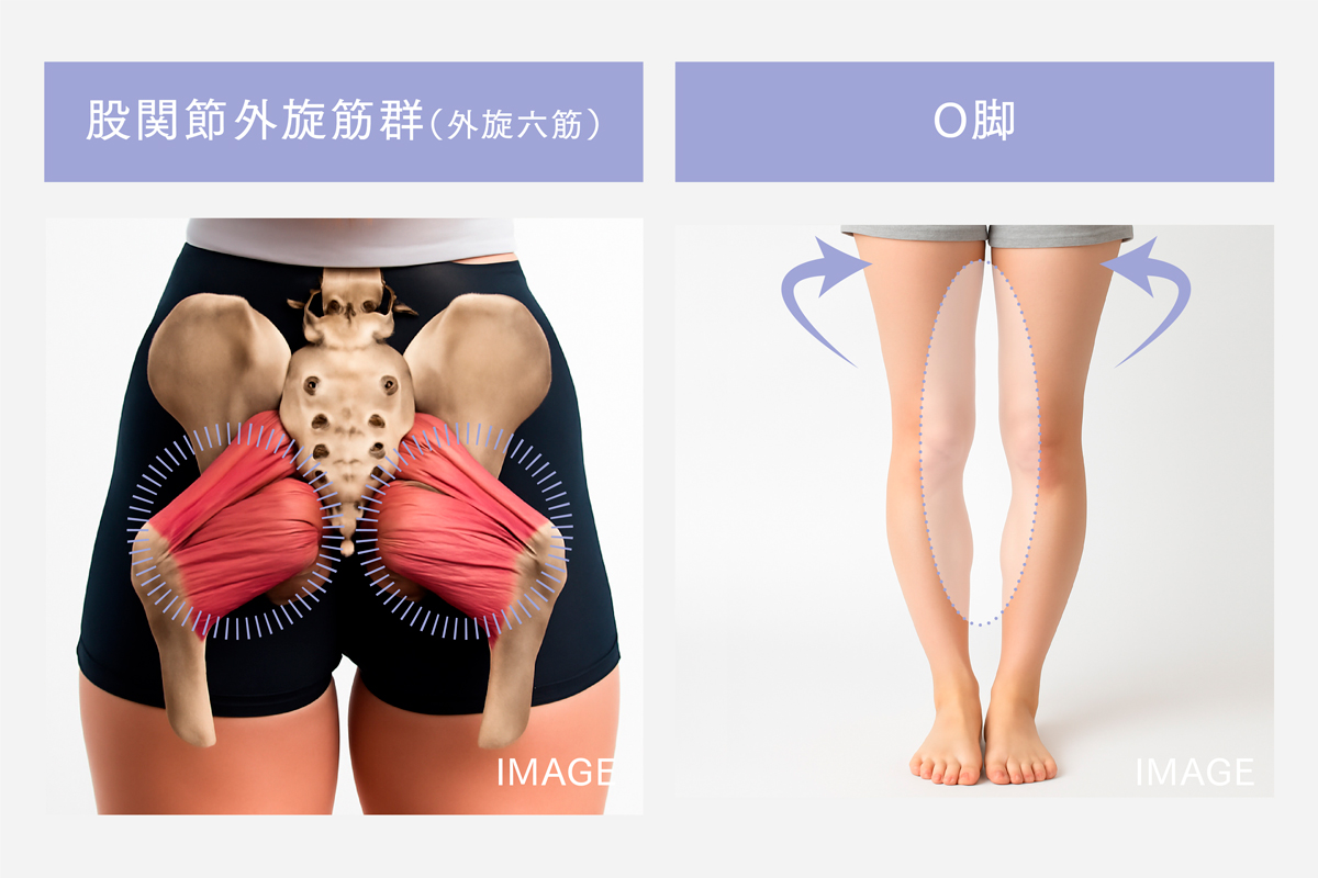 1日3分で、自信の持てるまっすぐ美脚へ。足を開いて閉じるだけのO脚サポート「MODIFIT LEG」誕生。