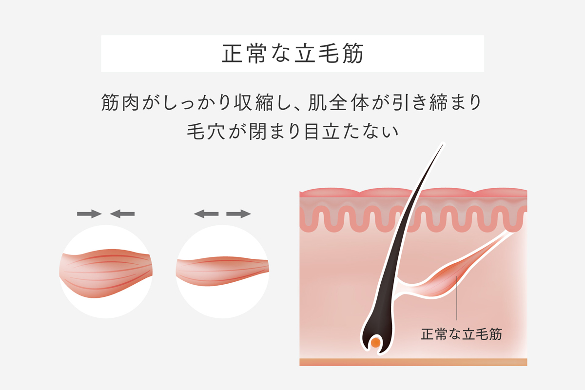 人気No.1アタッチメント、待望の単体化!顔・頭皮特化型「PROVE CORE」誕生