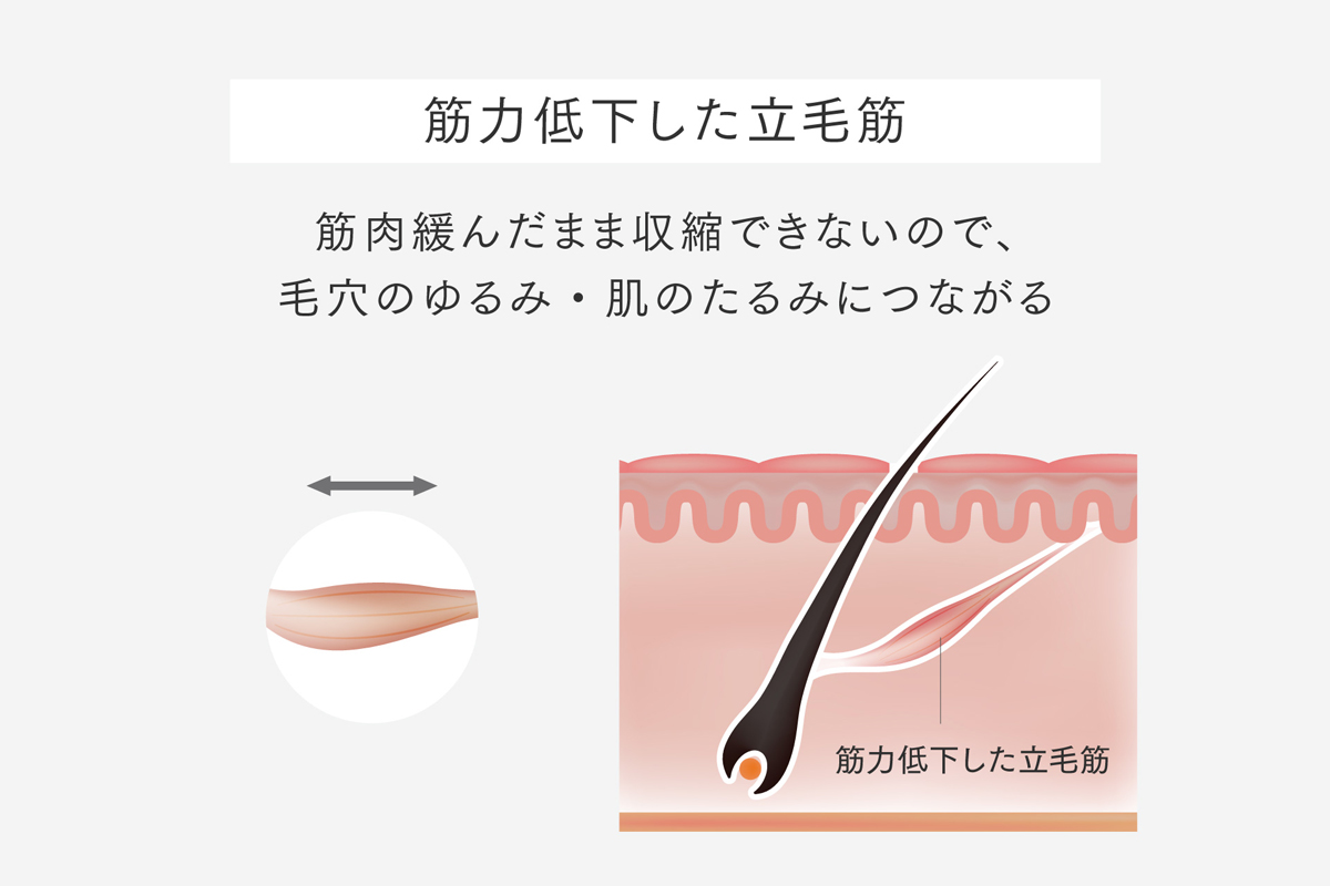 人気No.1アタッチメント、待望の単体化!顔・頭皮特化型「PROVE CORE」誕生