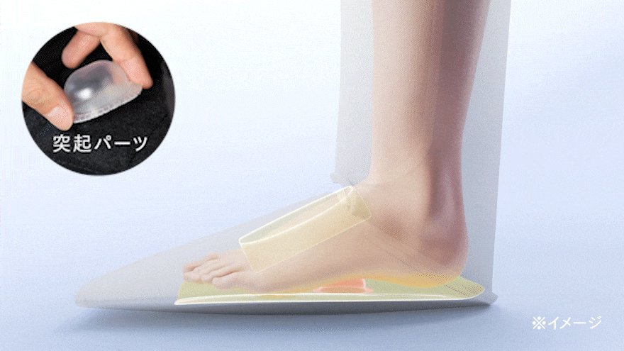 『MYTREX RAKUNO LITE』『MYTREX RAKUNO FIT PLUS』同時発売開始