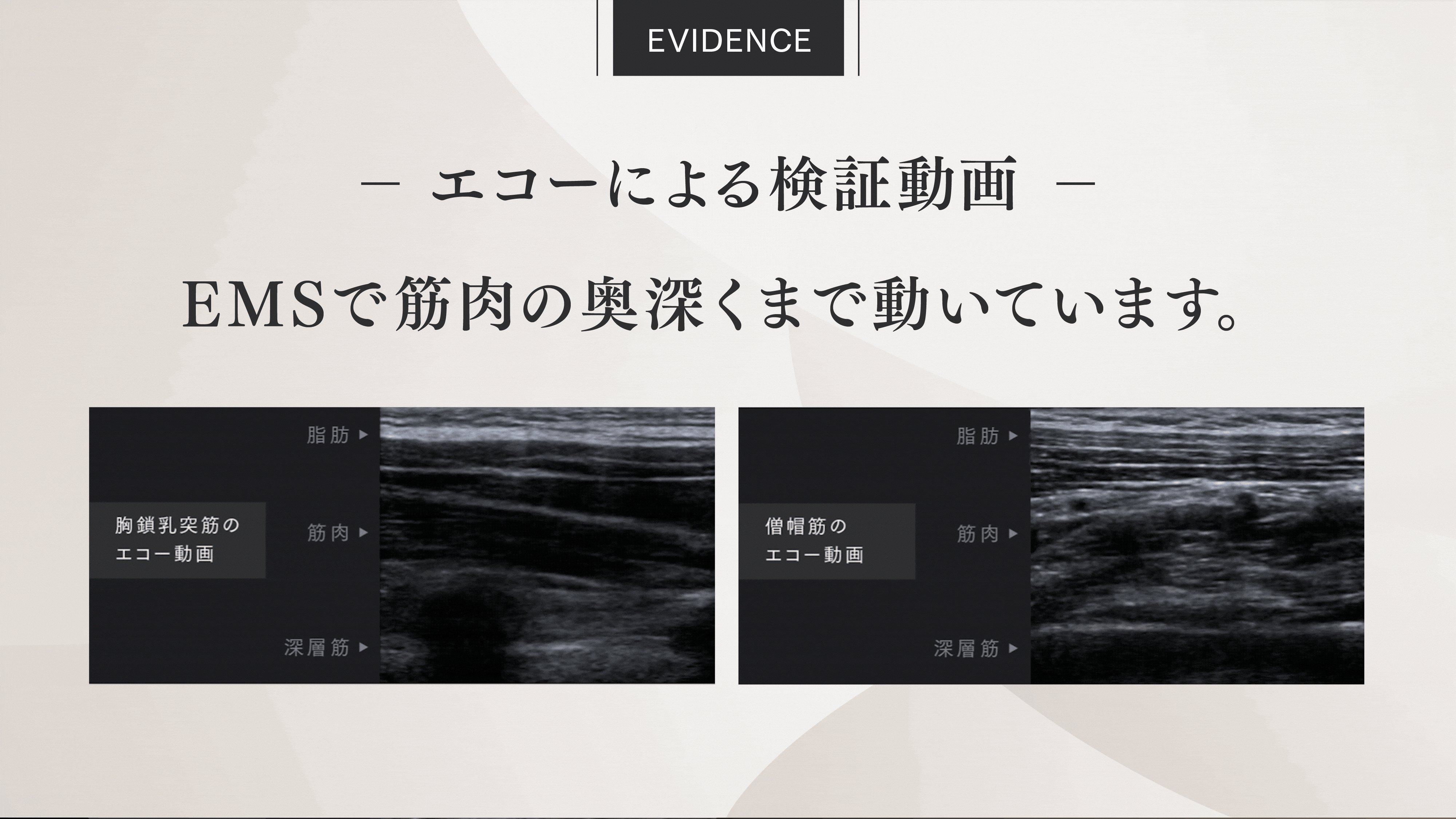 MYTREX ネックケアシリーズが進化。“振動×EMS×W温熱” を融合したハイブリッドモデル「HEAT NECK EVO」誕生