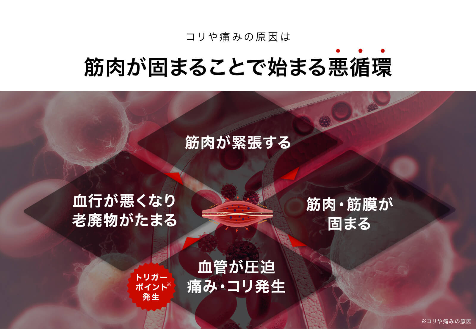 楽天市場 最大p24倍 楽天総合1位 Mytrex公式 Rebive リバイブ マッサージ マッサージガン フットマッサージャー 肩こり 首こり 筋膜リリース 腰痛 マッサージ器 マッサージ機 肩 首 足 腰 リカバリー ハンディマッサージャー ハンディ ミニ 筋肉 リンパ クリスマス